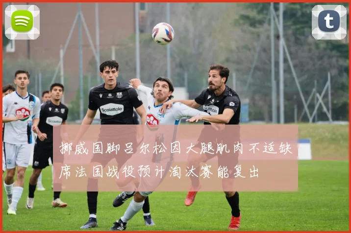挪威国脚吕尔松因大腿肌肉不适缺席法国战役预计淘汰赛能复出